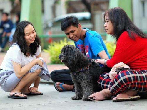 Jakarta Dog Lovers, Berbagi Rasa Sayang dengan Anjing Peliharaan